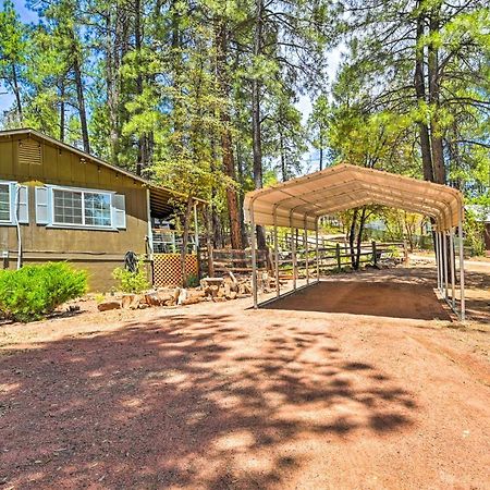 Pine Cabin In The Woods With Yard And Grill! Extérieur photo