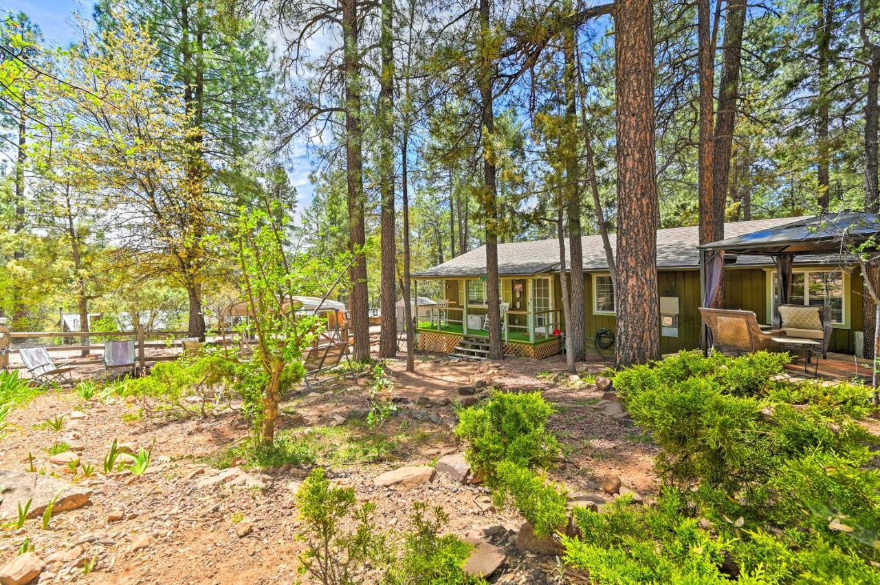 Pine Cabin In The Woods With Yard And Grill! Extérieur photo